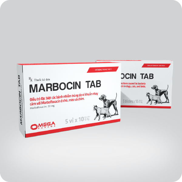 MARBOCIN TAB